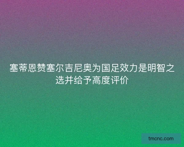 塞蒂恩赞塞尔吉尼奥为国足效力是明智之选并给予高度评价