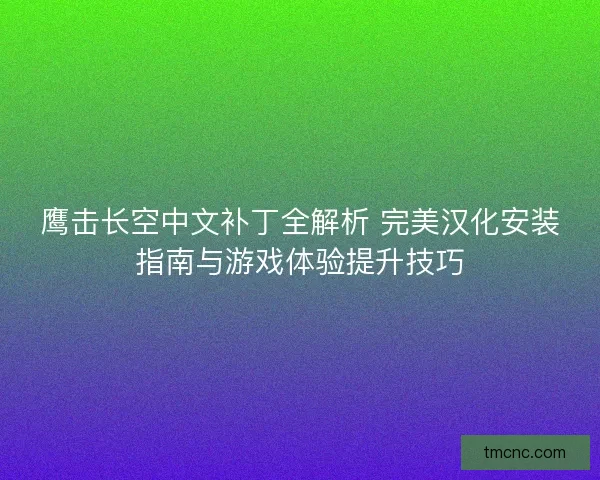 鹰击长空中文补丁全解析 完美汉化安装指南与游戏体验提升技巧