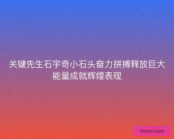 关键先生石宇奇小石头奋力拼搏释放巨大能量成就辉煌表现