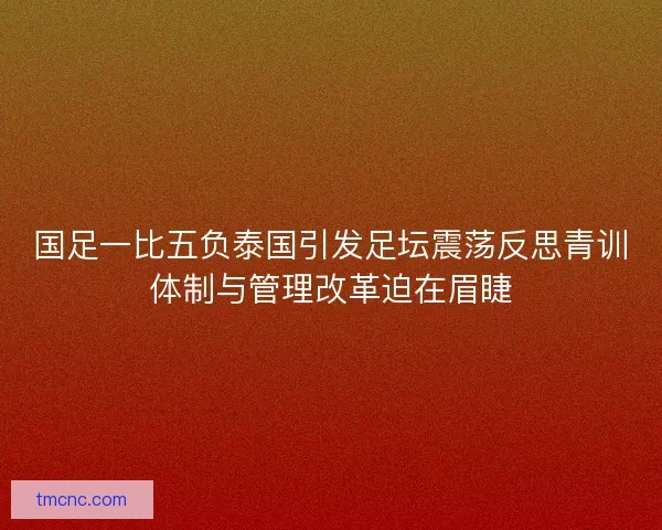 国足一比五负泰国引发足坛震荡反思青训体制与管理改革迫在眉睫